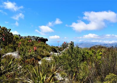 Mutli-day trails - Table Mountain Trail