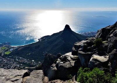 Table Mountain - Lion's Head